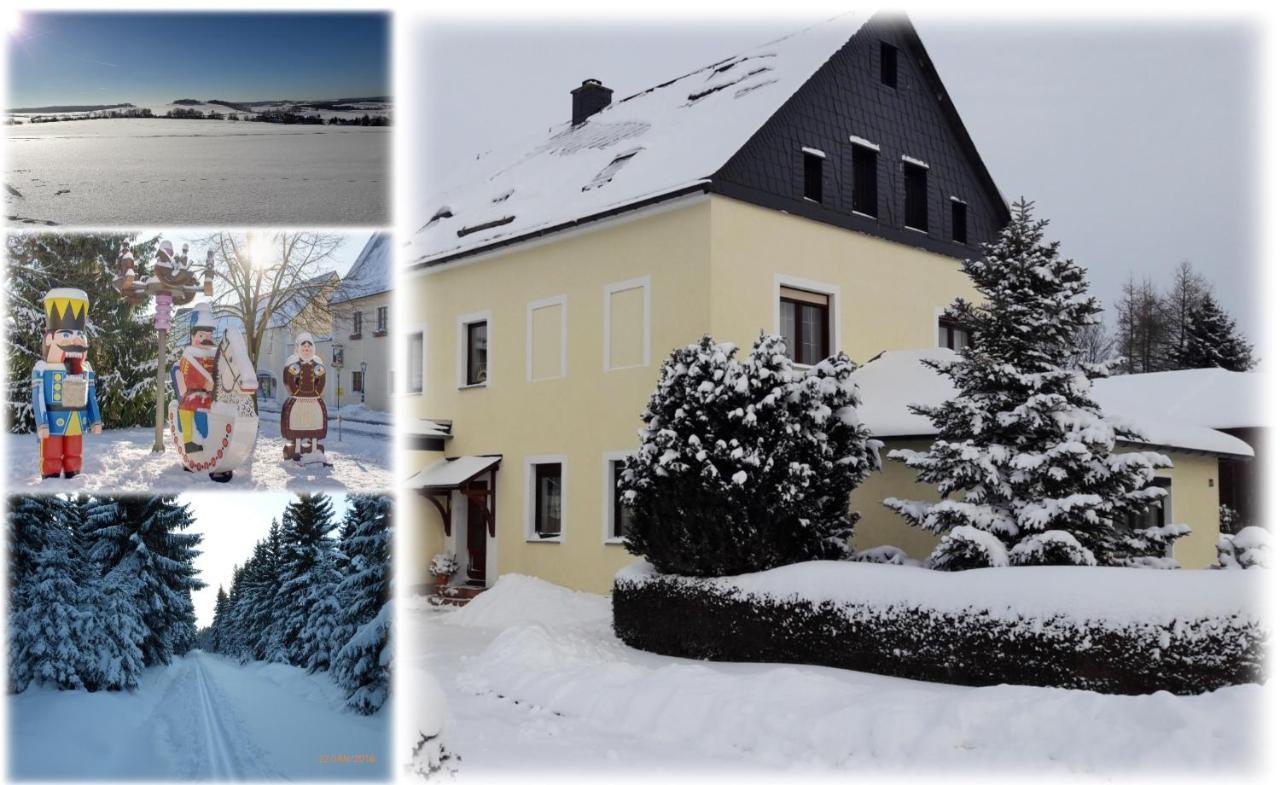Ferienwohnung Floehatalblick Olbernhau Extérieur photo