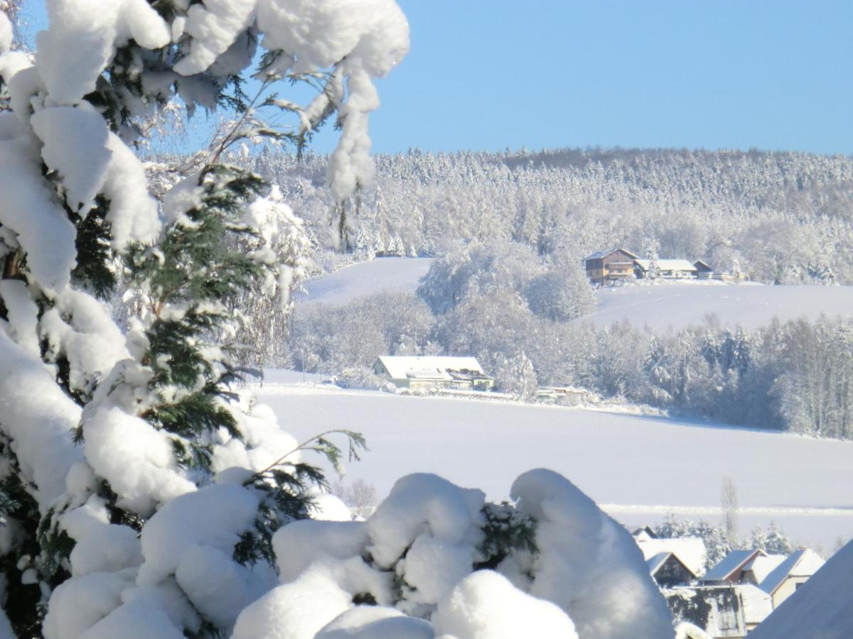 Ferienwohnung Floehatalblick Olbernhau Extérieur photo